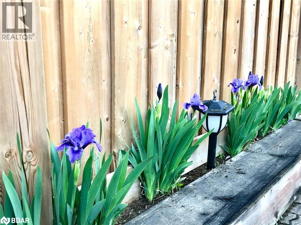 35 Glenridge Road, Barrie, Ontario  L4N 2X9 - Photo 47 - 40784179