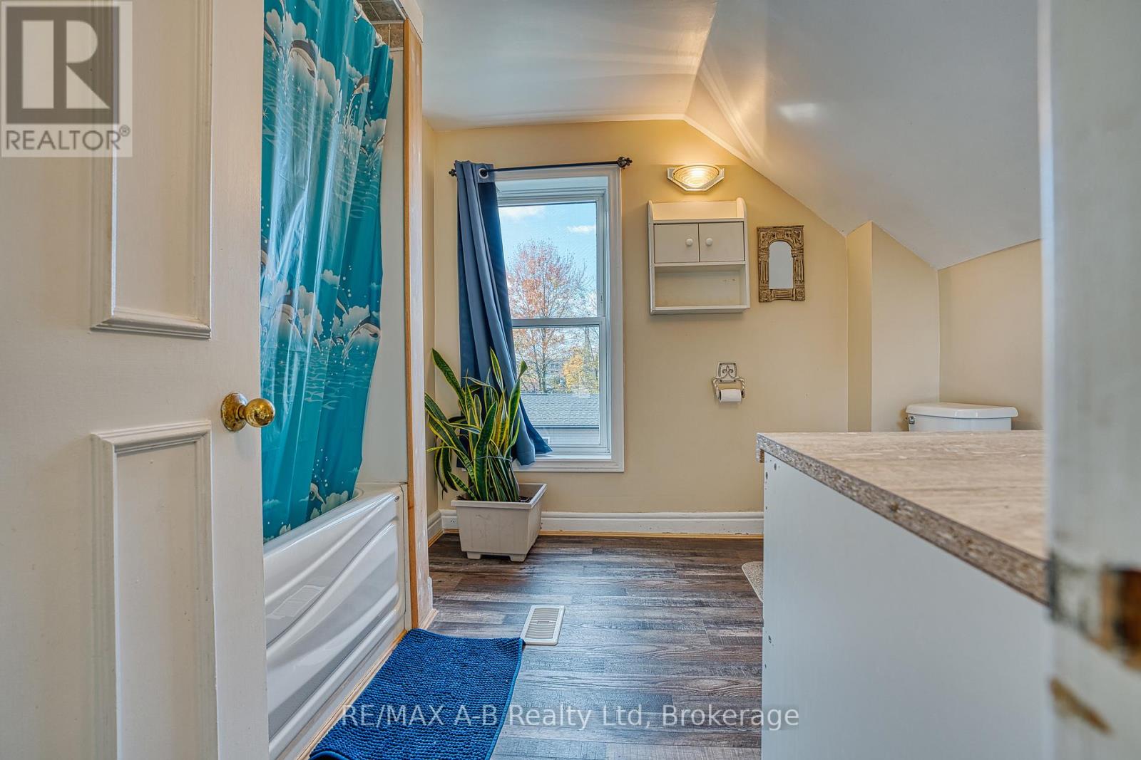 252 Romeo Street S, Stratford, Ontario  N5A 4T5 - Photo 20 - X12499448