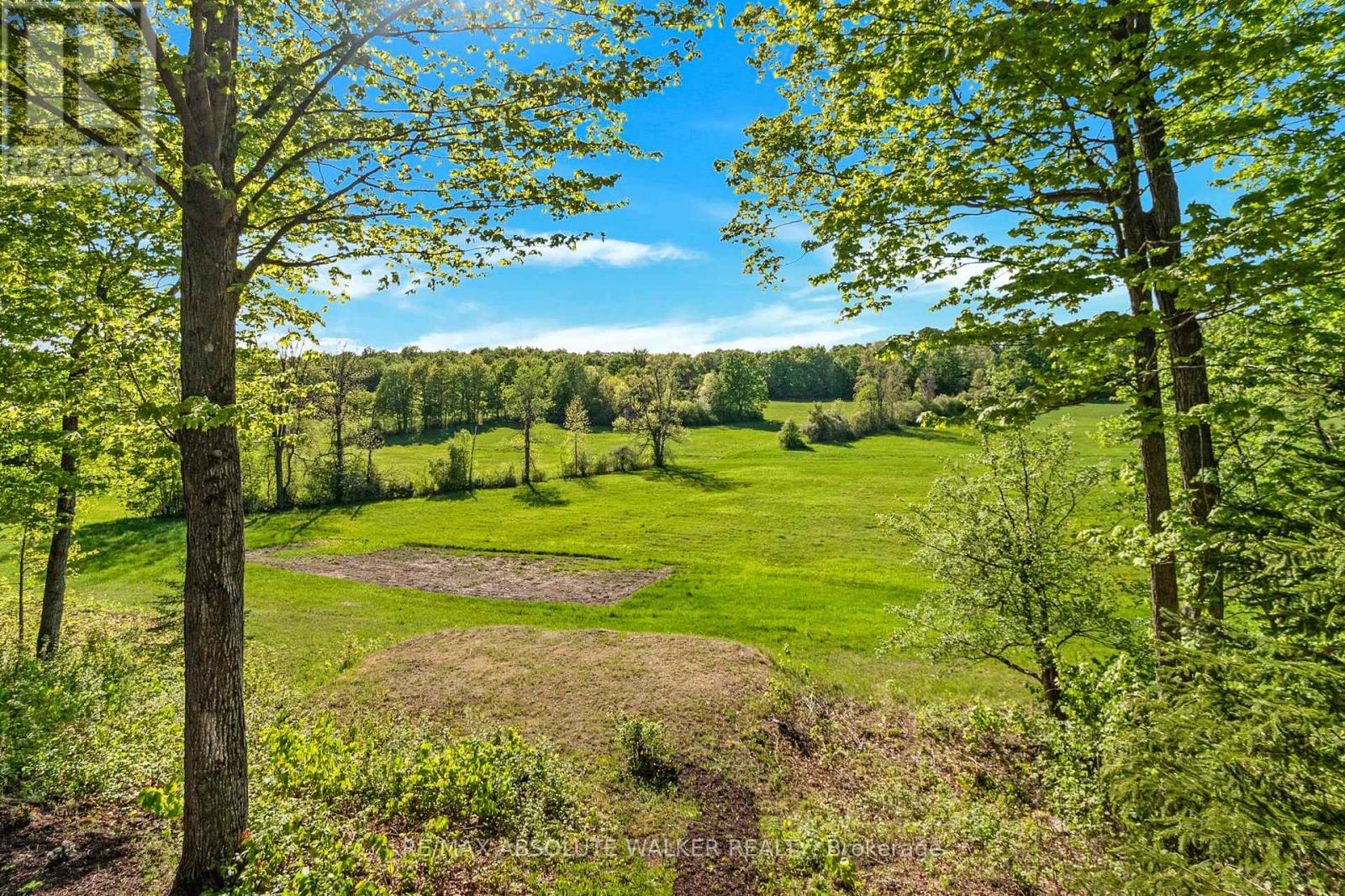 880 Townline Road, North Grenville, Ontario  K0G 1J0 - Photo 38 - X12504478