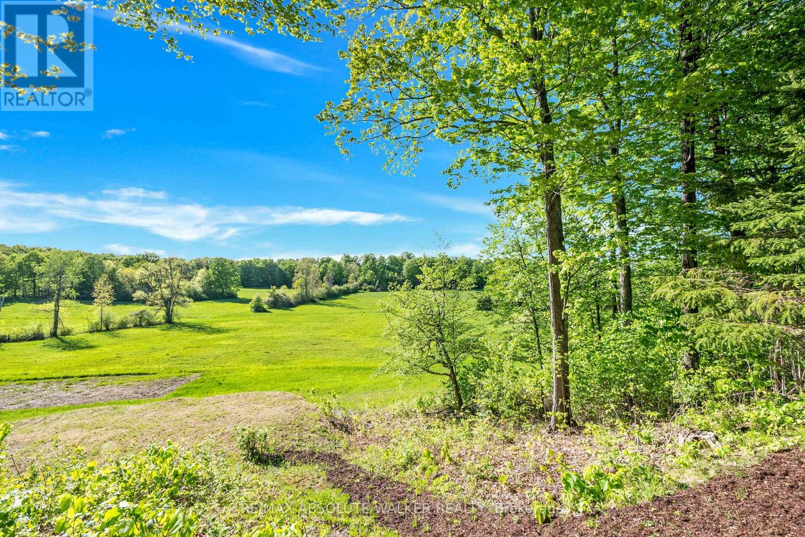 880 Townline Road, North Grenville, Ontario  K0G 1J0 - Photo 41 - X12504478