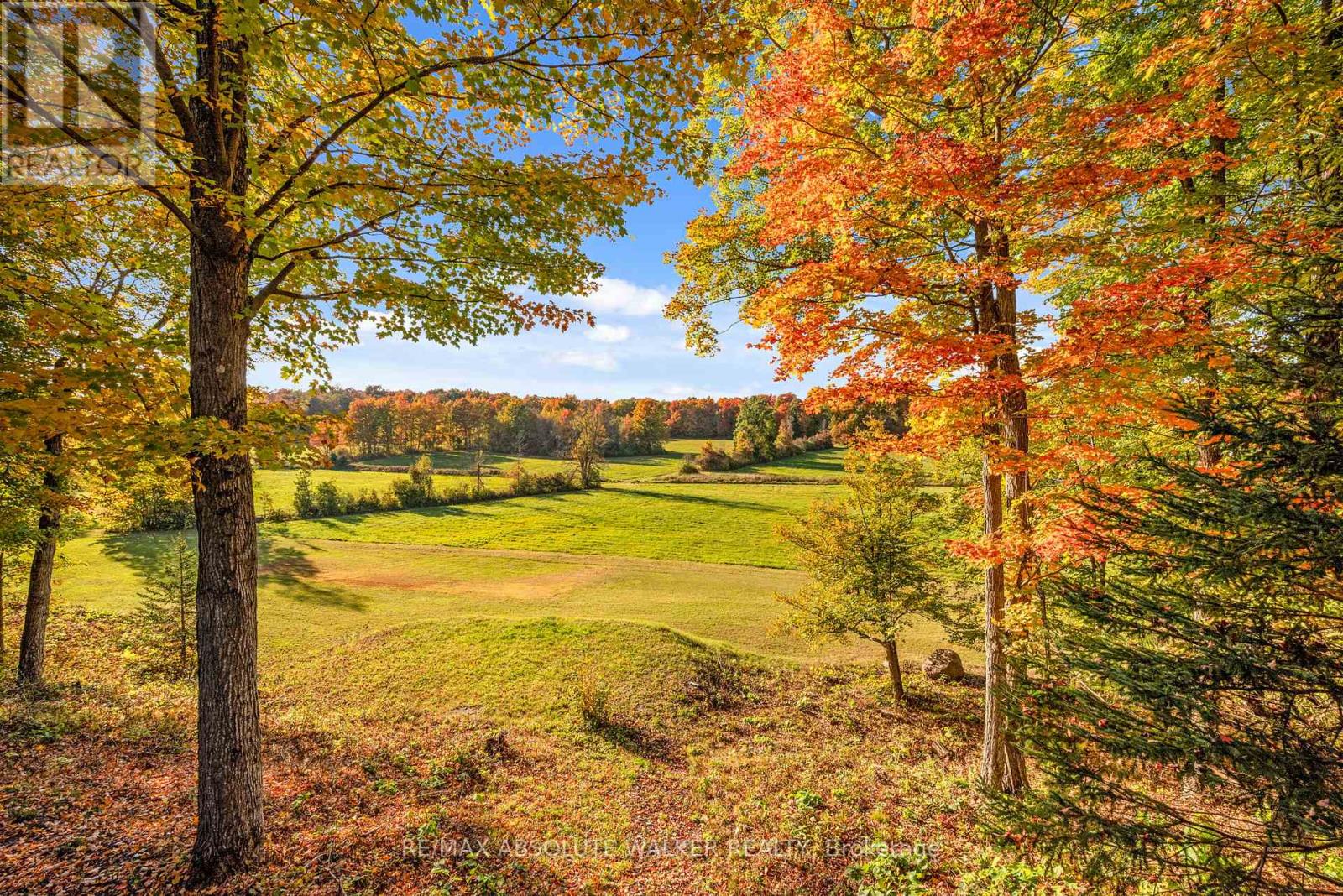 880 Townline Road, North Grenville, Ontario  K0G 1J0 - Photo 35 - X12504478