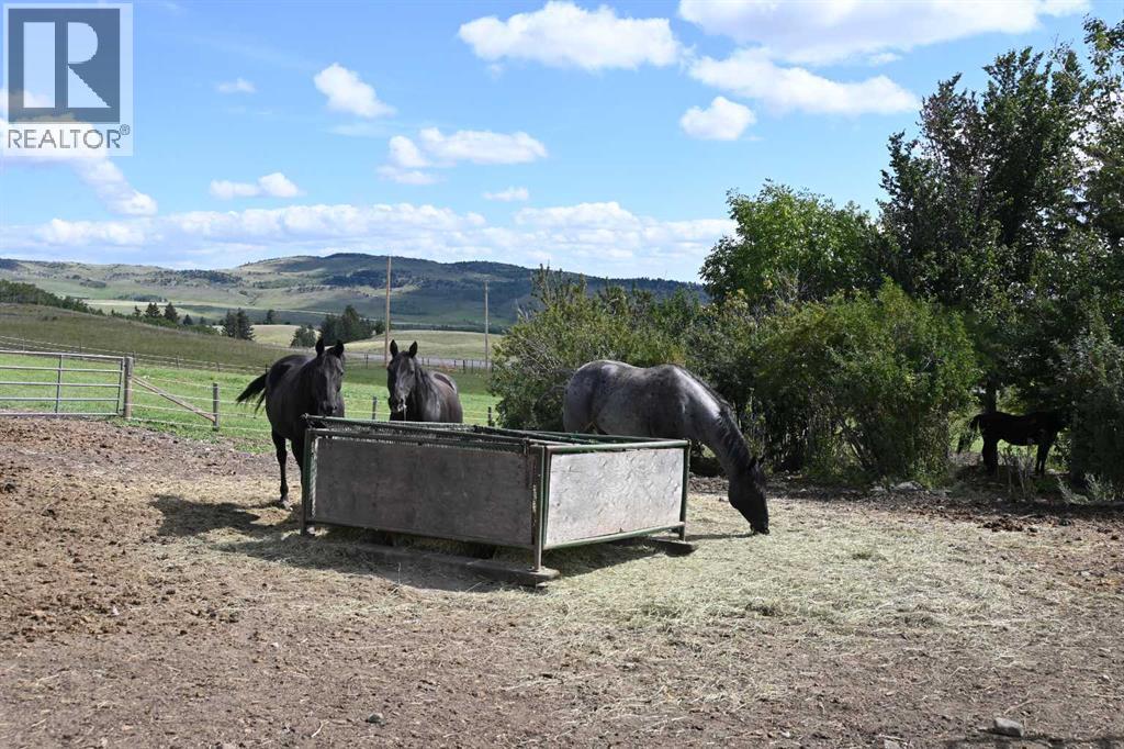 7404 Rge Rd 3-0, Rural Pincher Creek No. 9, Alberta  T0K 1H0 - Photo 36 - A2267487