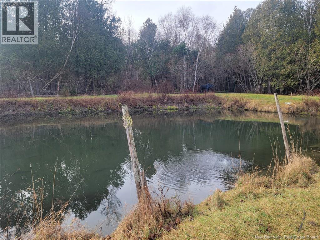 91 Des Ormes, Petit-Rocher-Nord, New Brunswick  E8J 2K1 - Photo 11 - NB128213