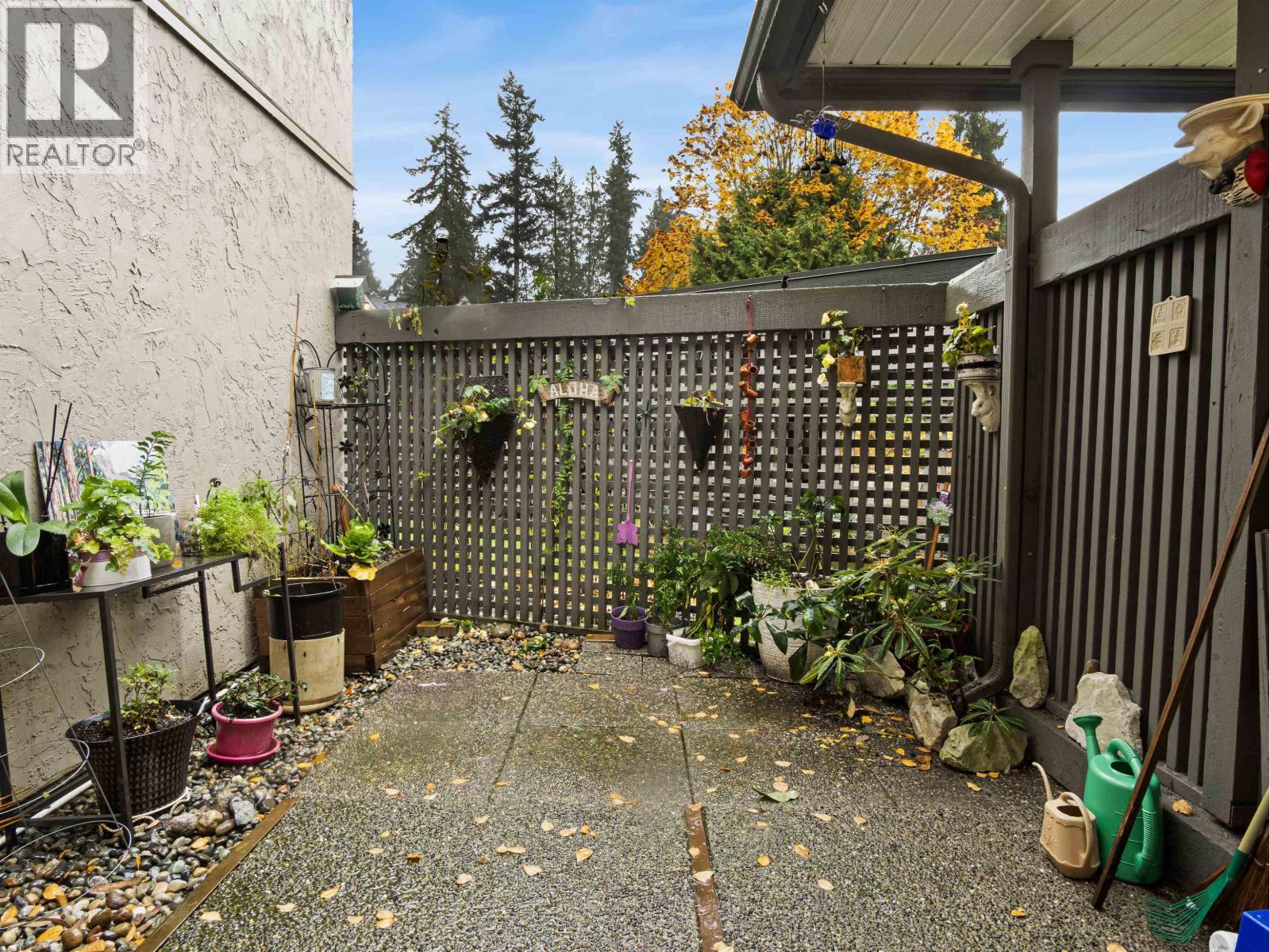 1253 Plateau Drive, North Vancouver, British Columbia  V7P 2J3 - Photo 26 - R3064377