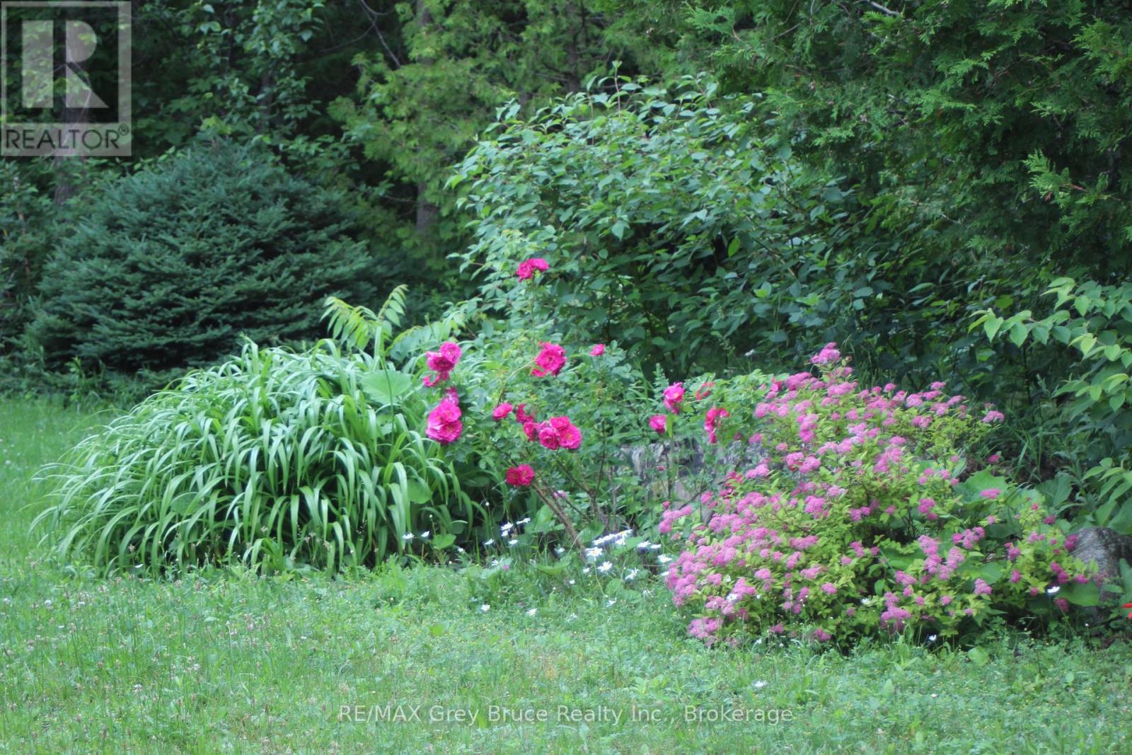 20 Maple Drive, Northern Bruce Peninsula, Ontario  N0H 1Z0 - Photo 36 - X12505828