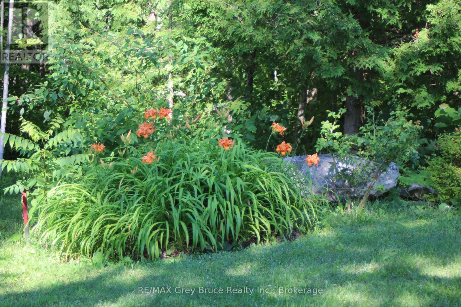 20 Maple Drive, Northern Bruce Peninsula, Ontario  N0H 1Z0 - Photo 37 - X12505828