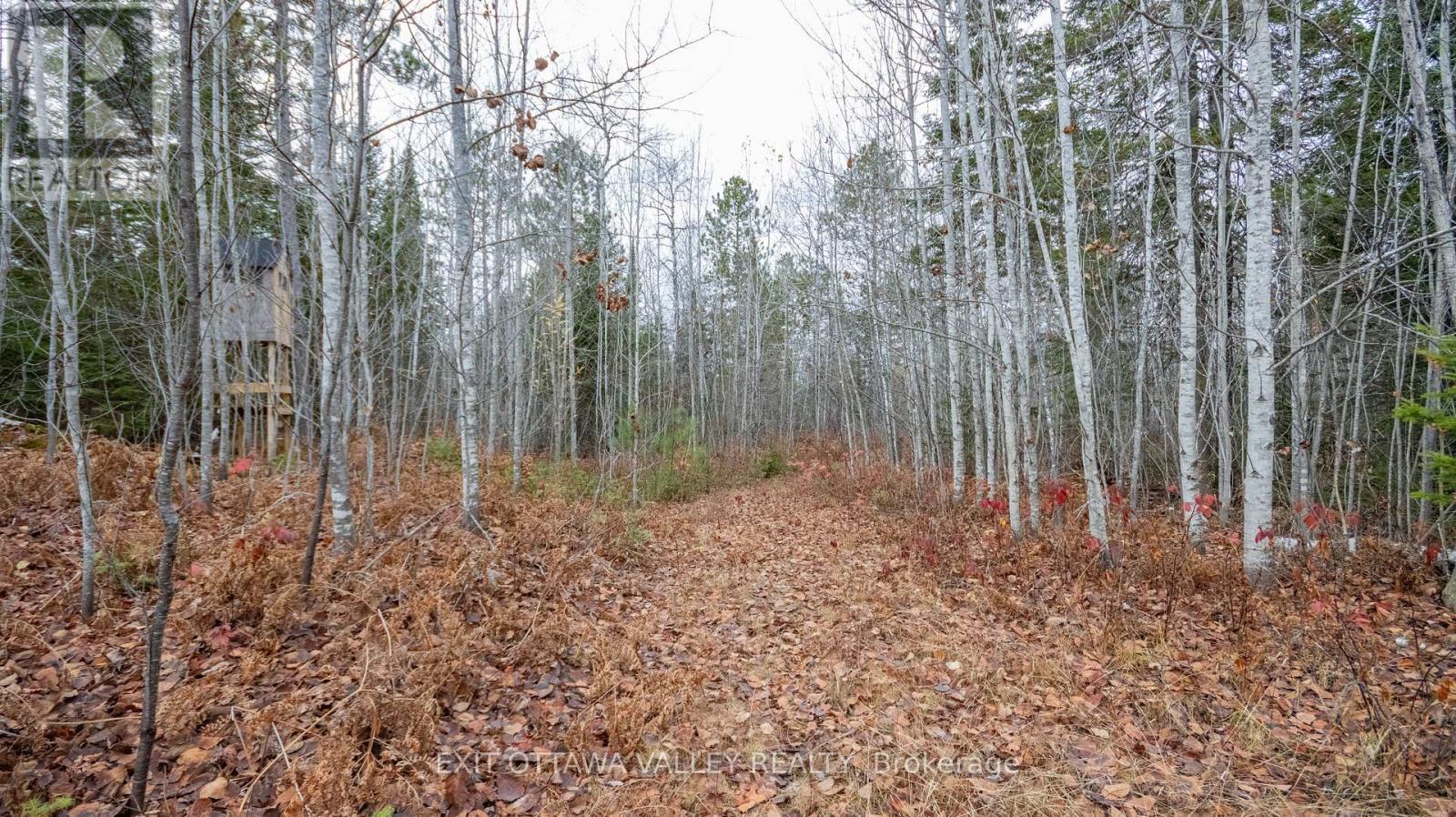 00 Highway 60 Highway, Madawaska Valley, Ontario  K0J 1B0 - Photo 33 - X12501452