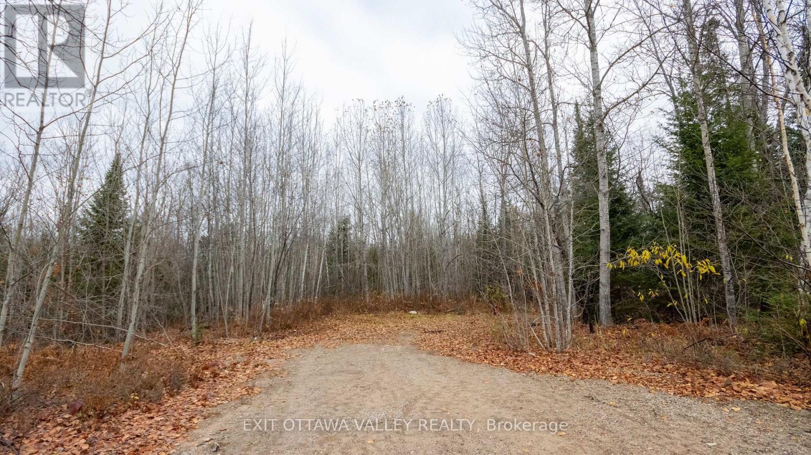 00 Highway 60 Highway, Madawaska Valley, Ontario  K0J 1B0 - Photo 39 - X12501452