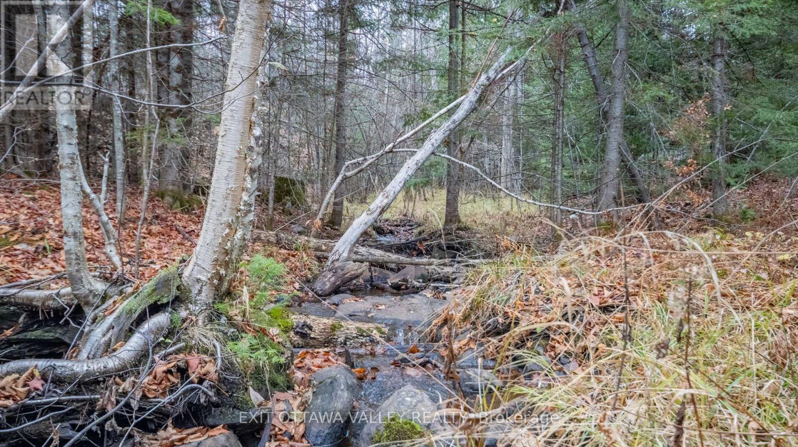 00 Highway 60 Highway, Madawaska Valley, Ontario  K0J 1B0 - Photo 38 - X12501452