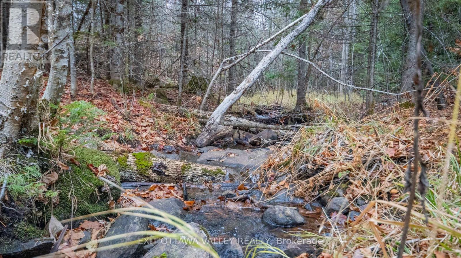 00 Highway 60 Highway, Madawaska Valley, Ontario  K0J 1B0 - Photo 36 - X12501452