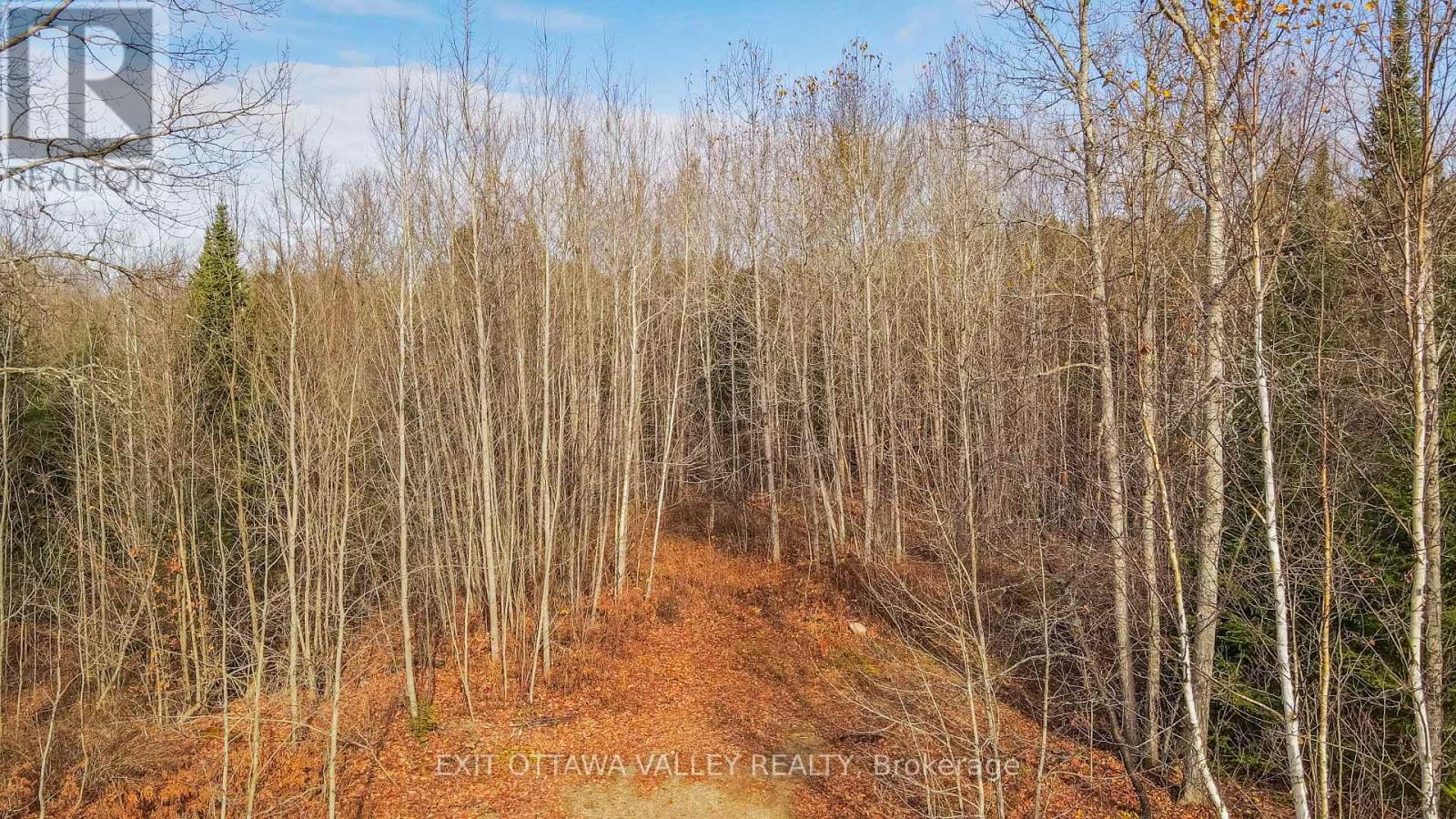 00 Highway 60 Highway, Madawaska Valley, Ontario  K0J 1B0 - Photo 41 - X12501452