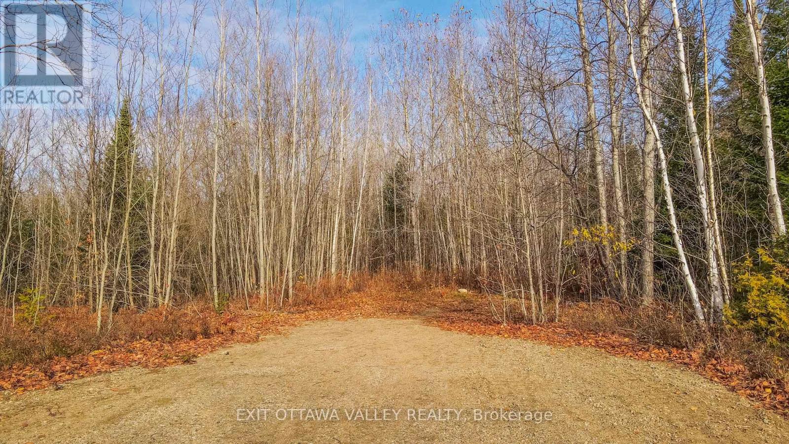 00 Highway 60 Highway, Madawaska Valley, Ontario  K0J 1B0 - Photo 40 - X12501452