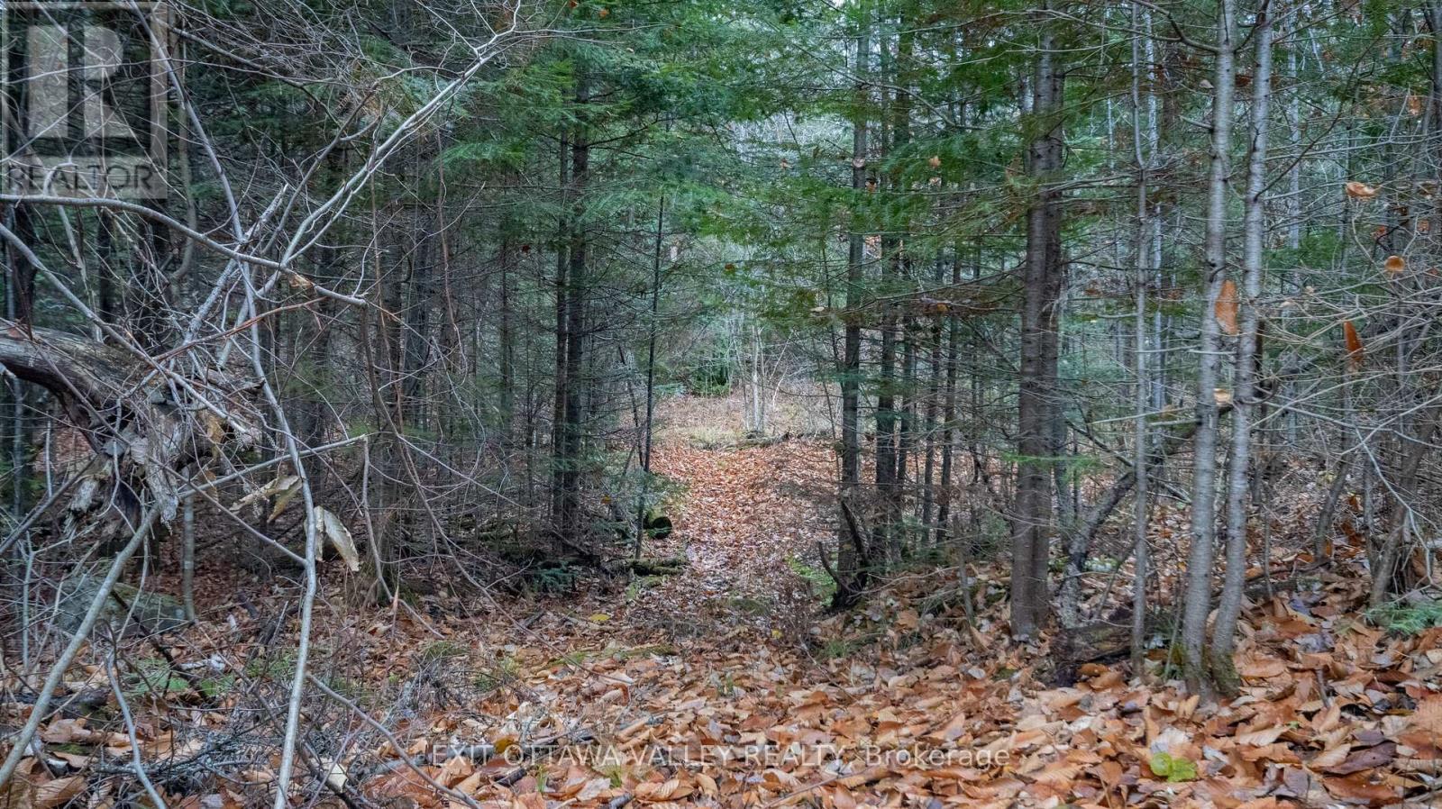 00 Highway 60 Highway, Madawaska Valley, Ontario  K0J 1B0 - Photo 37 - X12501452