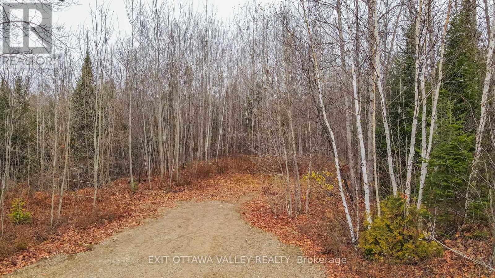 00 Highway 60 Highway, Madawaska Valley, Ontario  K0J 1B0 - Photo 48 - X12501452