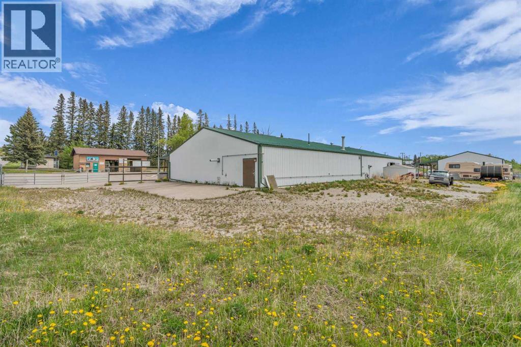 211 Railway Avenue E, Cremona, Alberta  T0M 0B9 - Photo 4 - A2262066
