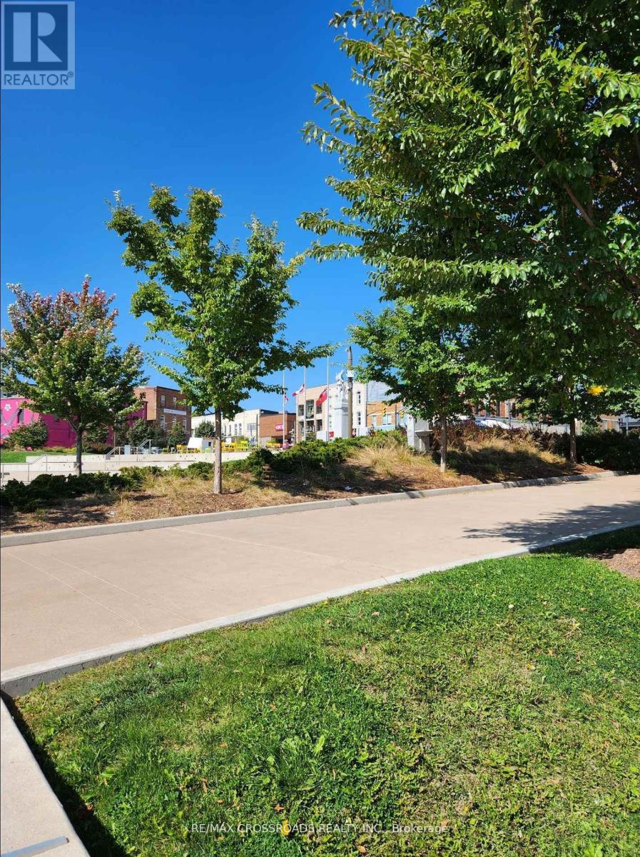 200 - 50 Dunlop Street E, Barrie, Ontario  L4M 6J9 - Photo 3 - S12505826