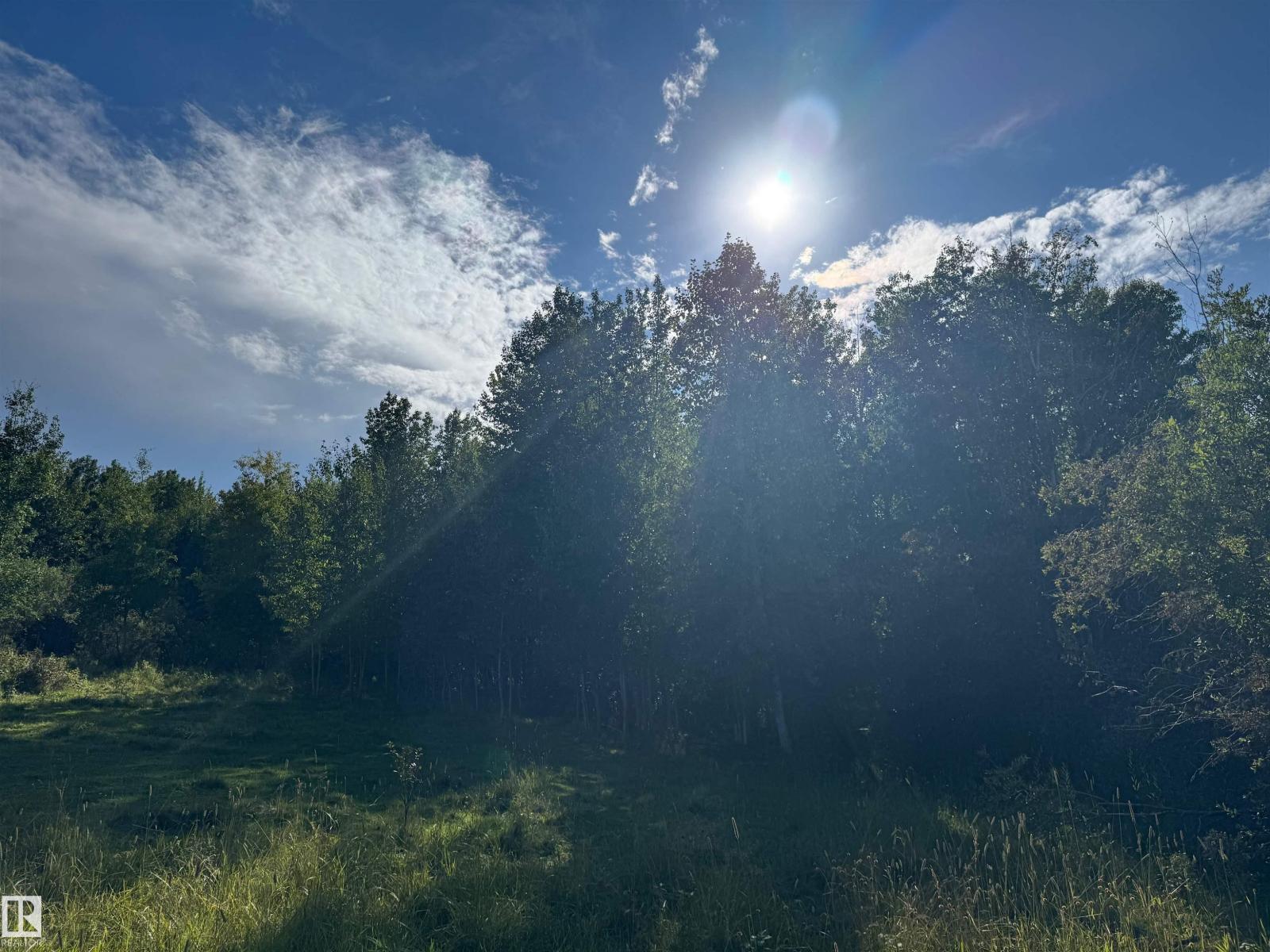 On Twp Rd 505, Rural Brazeau County, Alberta  T7A 1S4 - Photo 30 - E4459874