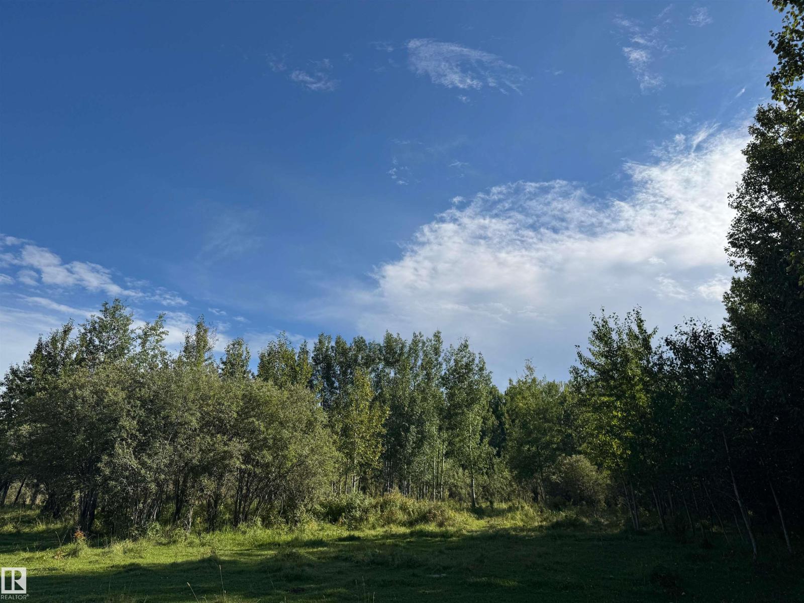 On Twp Rd 505, Rural Brazeau County, Alberta  T7A 1S4 - Photo 31 - E4459874