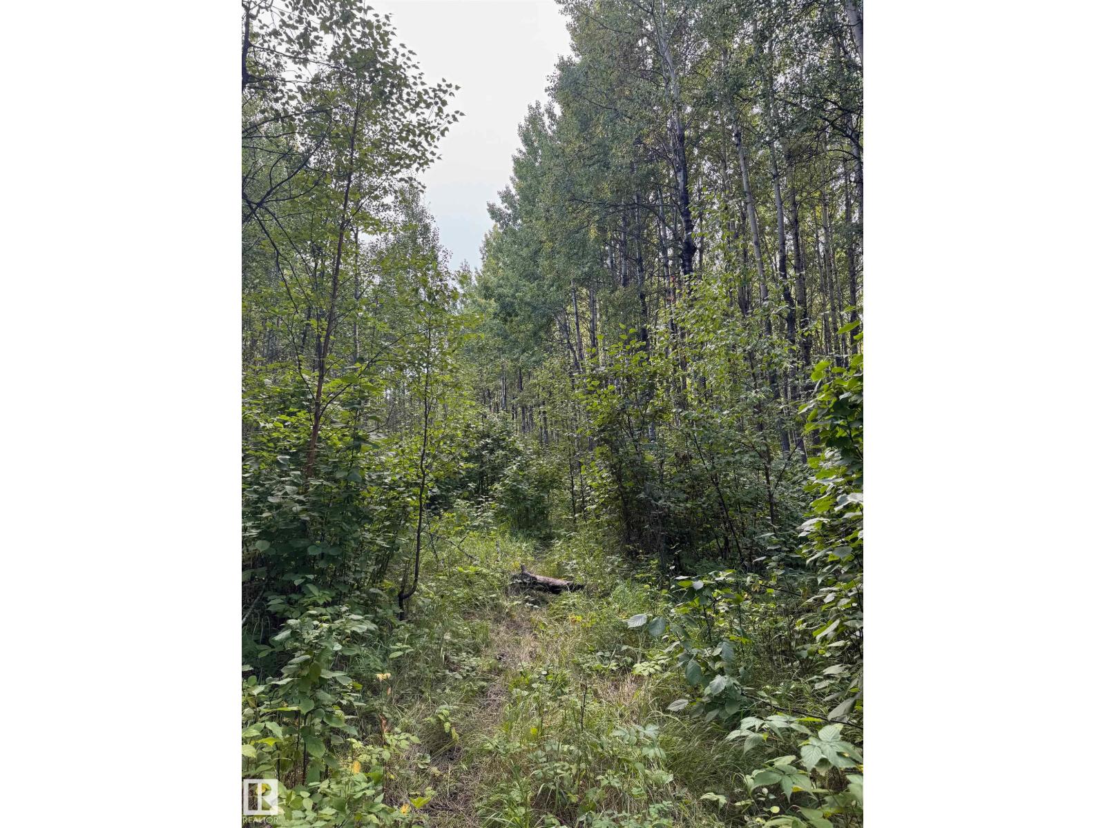 On Twp Rd 505, Rural Brazeau County, Alberta  T7A 1S4 - Photo 60 - E4459874