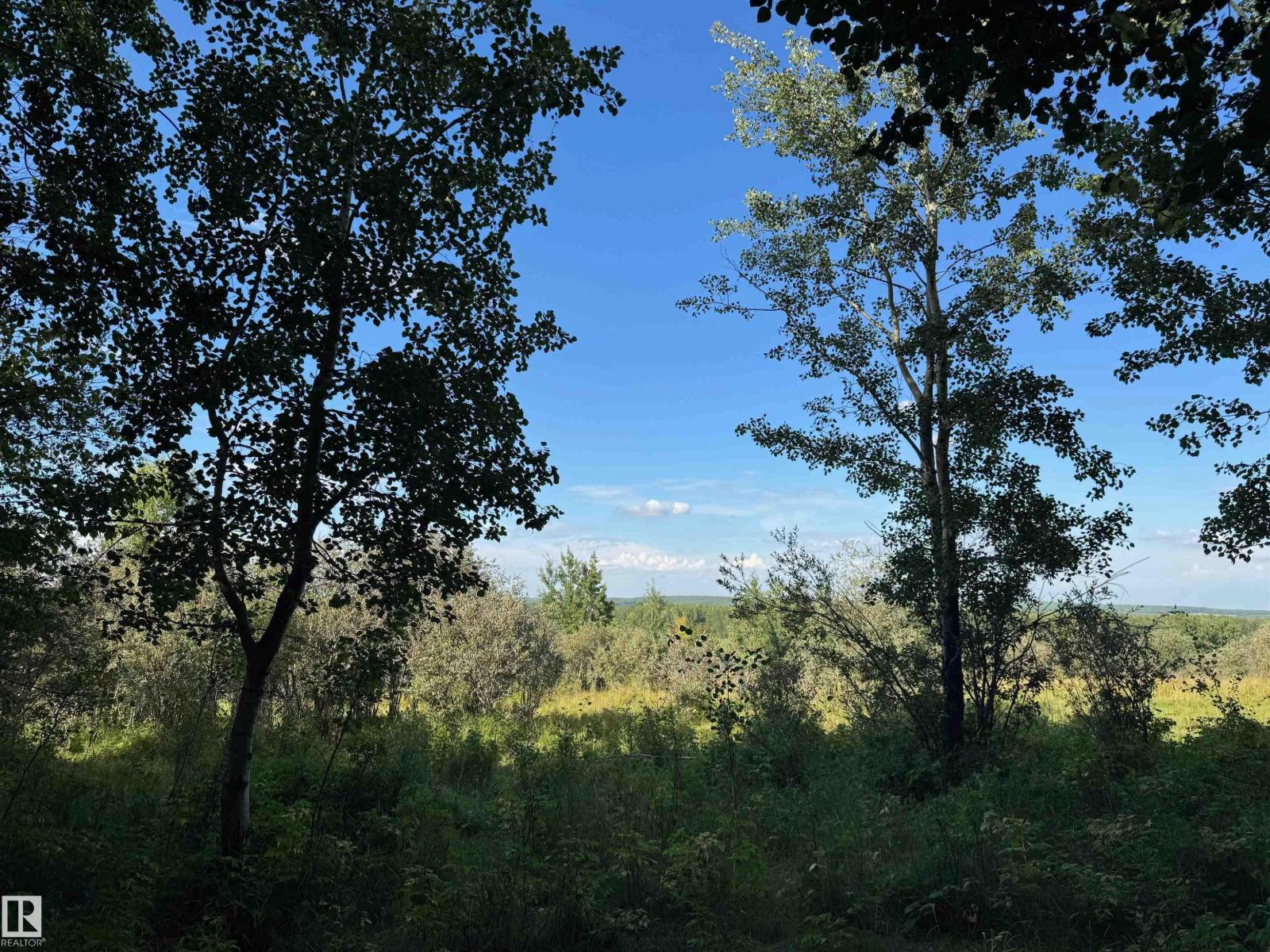 On Twp Rd 505, Rural Brazeau County, Alberta  T7A 1S4 - Photo 65 - E4459874