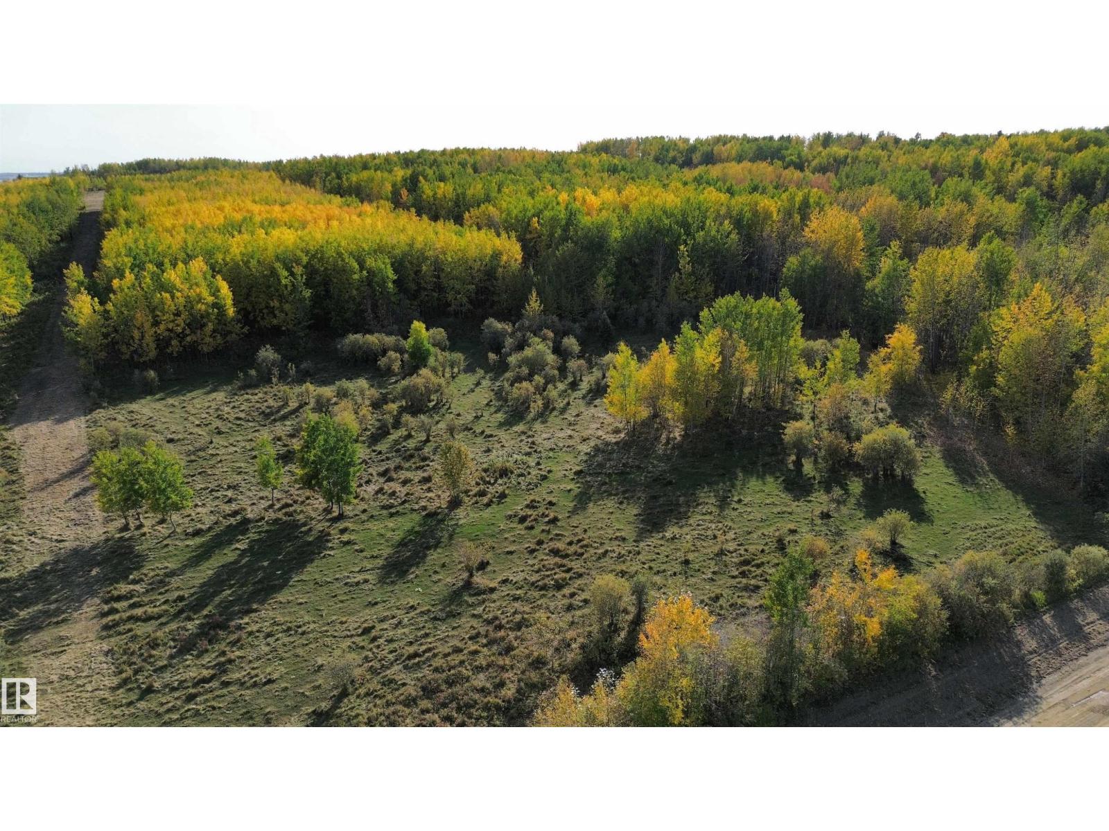 On Twp Rd 505, Rural Brazeau County, Alberta  T7A 1S4 - Photo 15 - E4459874