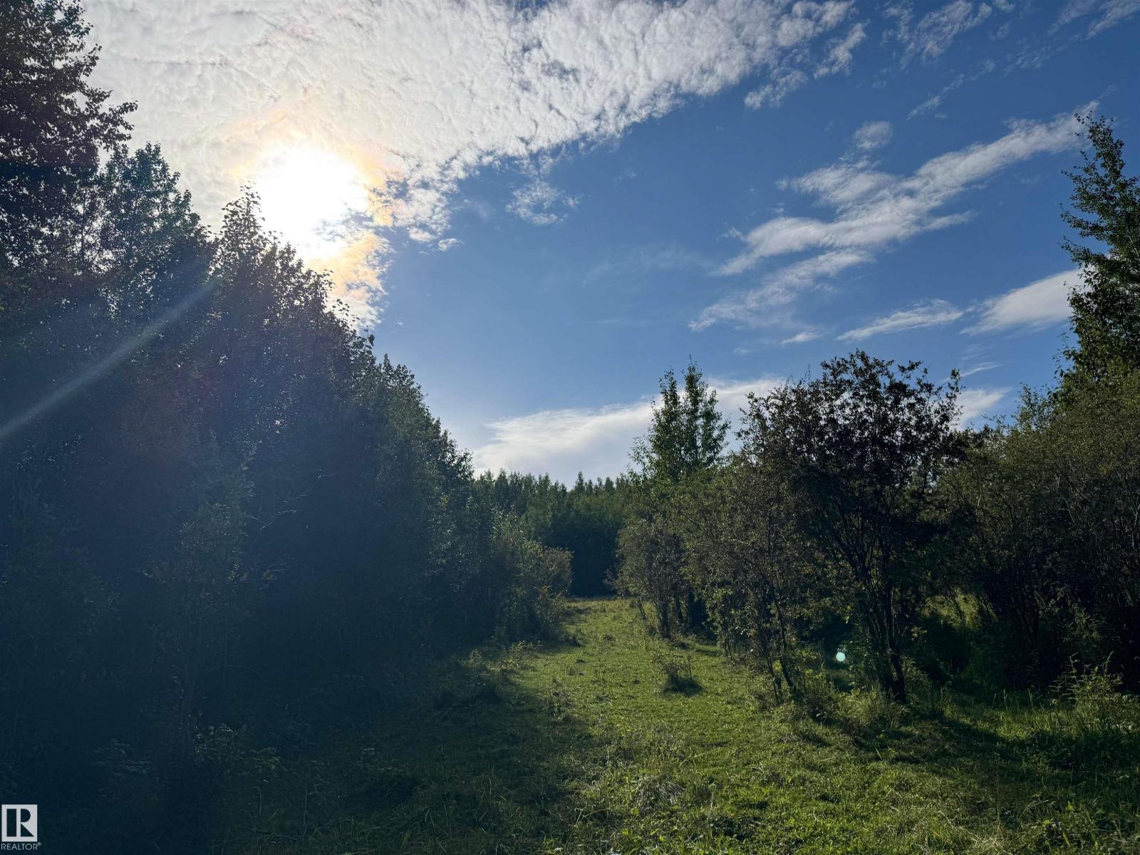 On Twp Rd 505, Rural Brazeau County, Alberta  T7A 1S4 - Photo 45 - E4459874