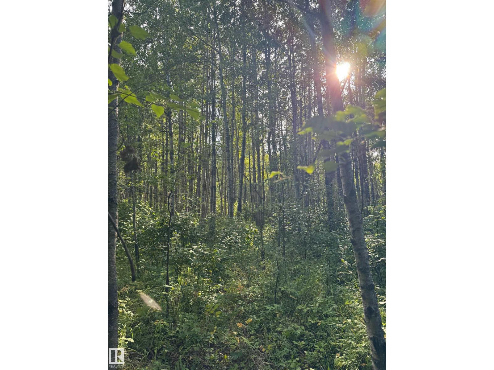 On Twp Rd 505, Rural Brazeau County, Alberta  T7A 1S4 - Photo 58 - E4459874