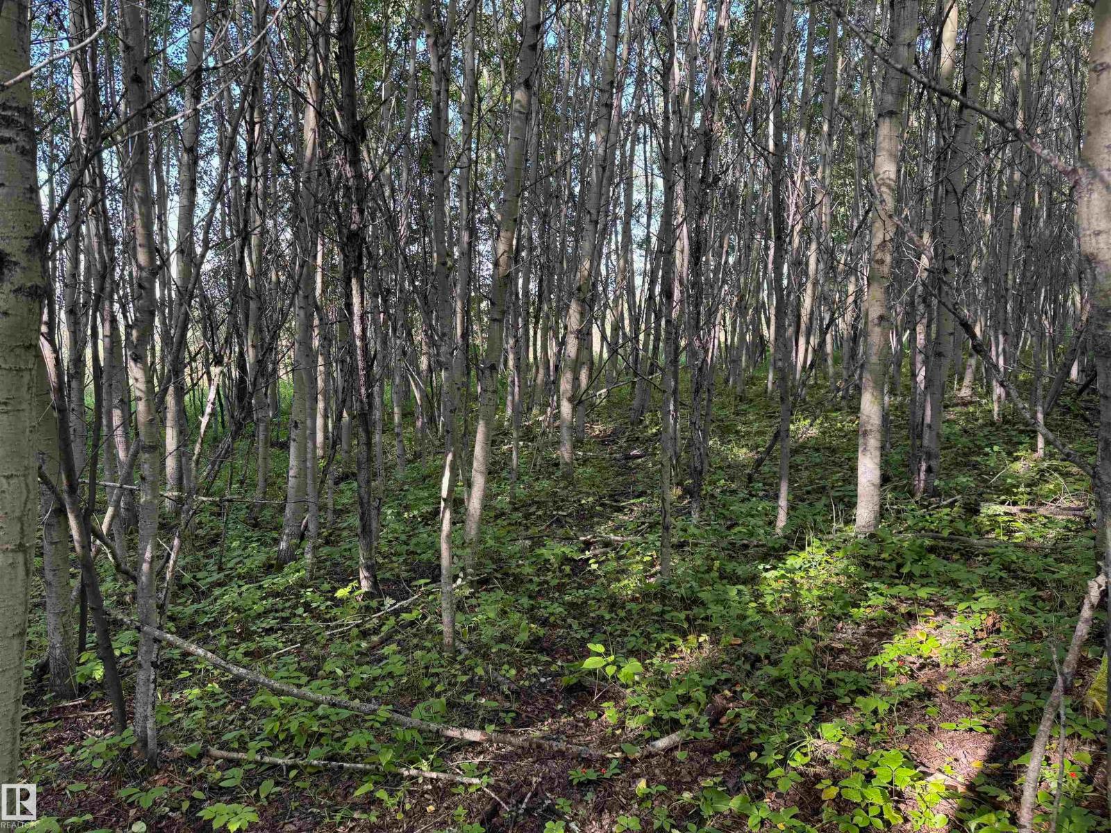 On Twp Rd 505, Rural Brazeau County, Alberta  T7A 1S4 - Photo 64 - E4459874