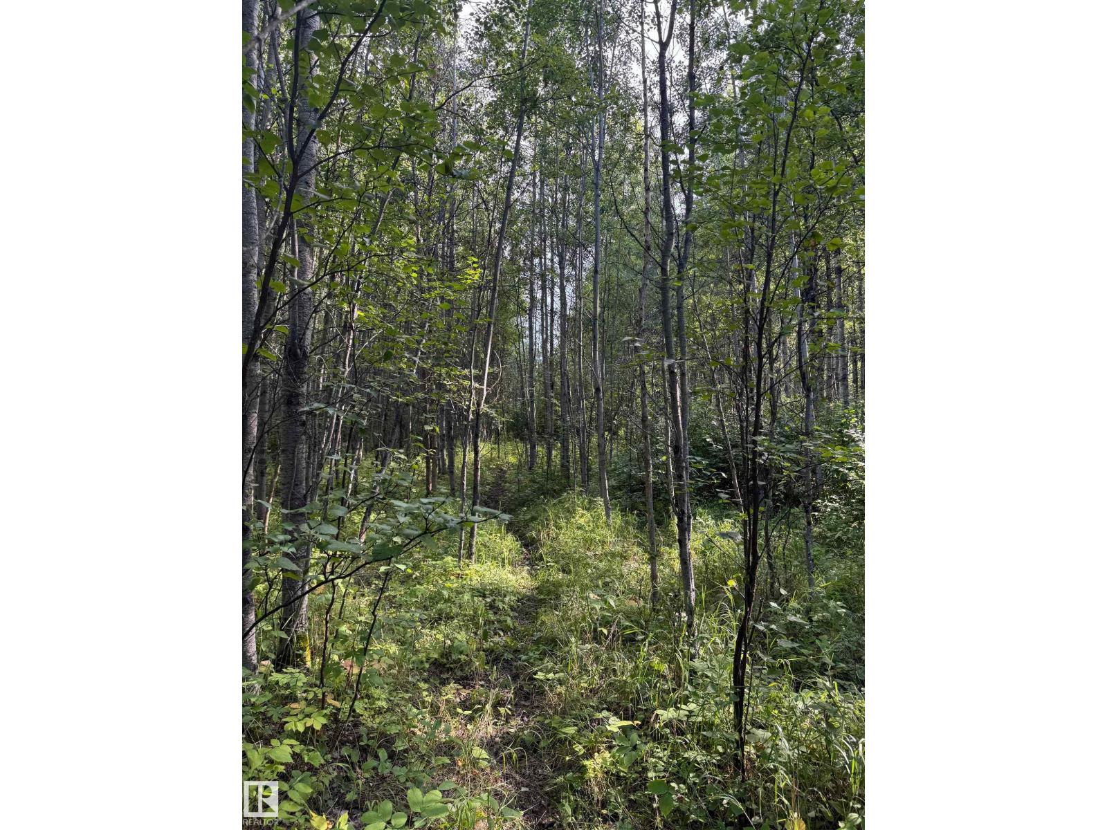 On Twp Rd 505, Rural Brazeau County, Alberta  T7A 1S4 - Photo 59 - E4459874