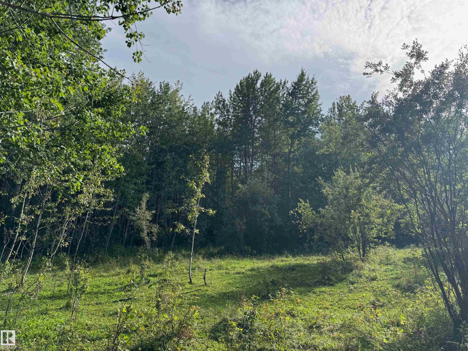 On Twp Rd 505, Rural Brazeau County, Alberta  T7A 1S4 - Photo 44 - E4459874