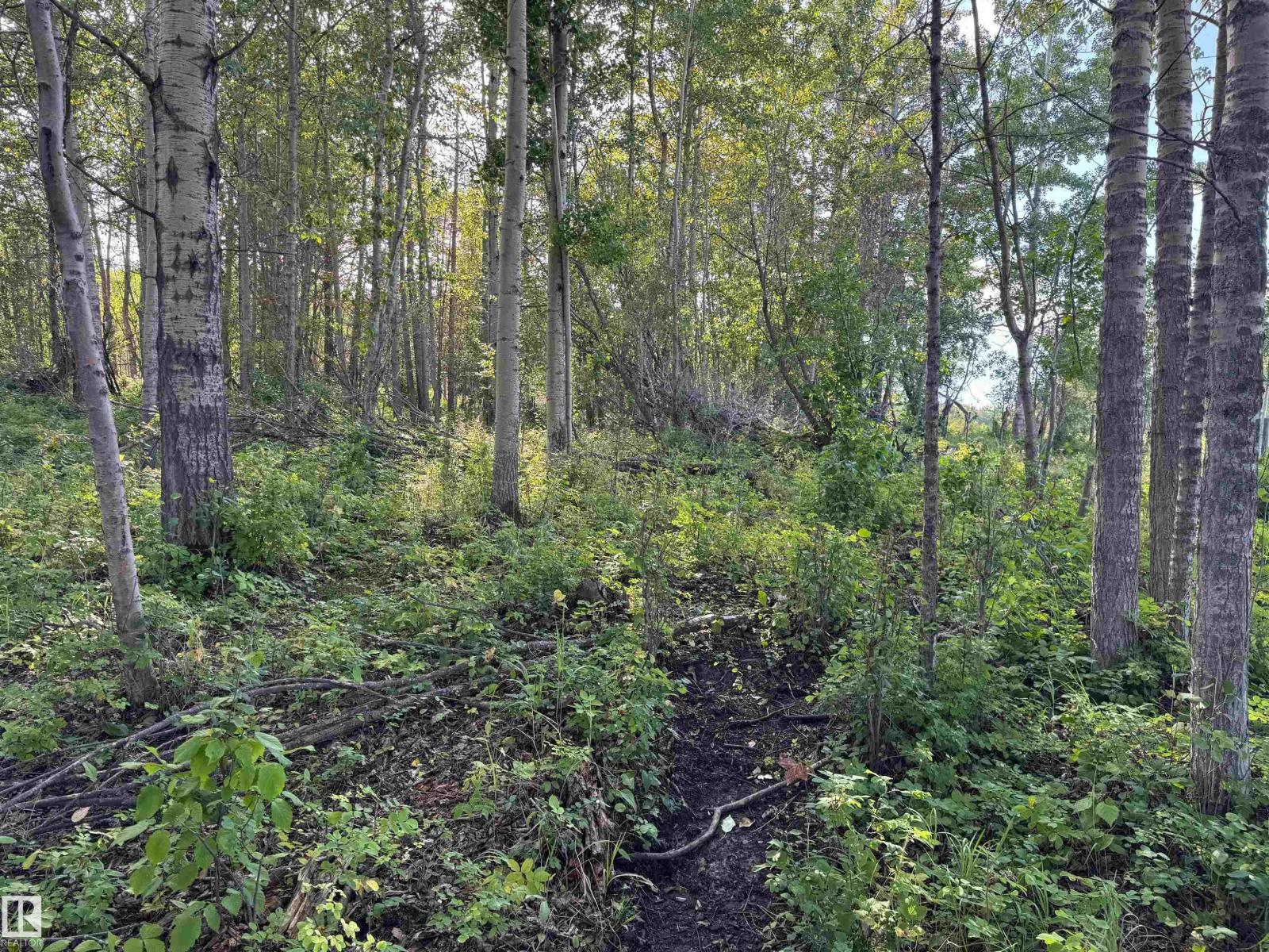 On Twp Rd 505, Rural Brazeau County, Alberta  T7A 1S4 - Photo 38 - E4459874