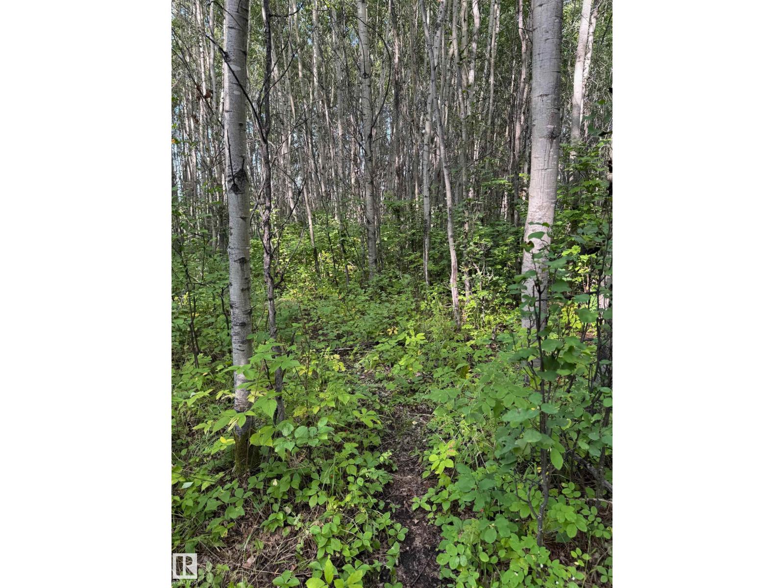 On Twp Rd 505, Rural Brazeau County, Alberta  T7A 1S4 - Photo 63 - E4459874