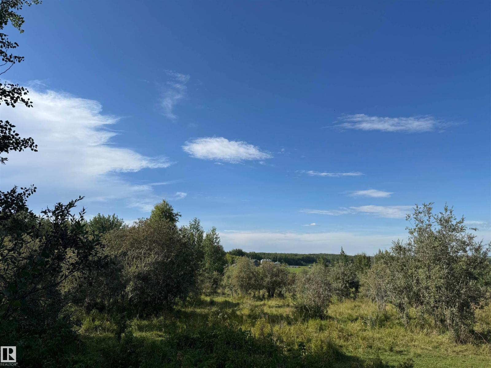 On Twp Rd 505, Rural Brazeau County, Alberta  T7A 1S4 - Photo 66 - E4459874