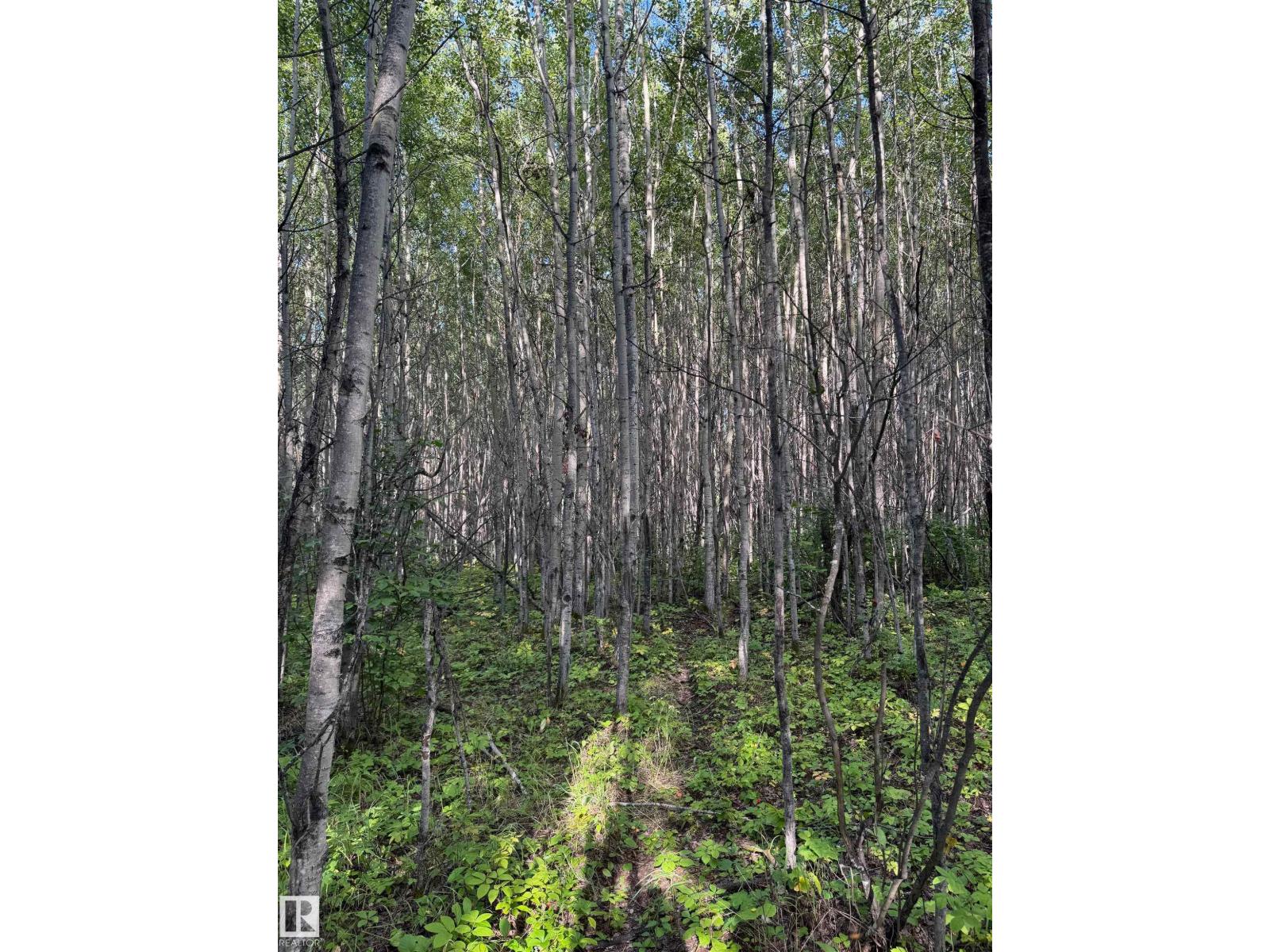 On Twp Rd 505, Rural Brazeau County, Alberta  T7A 1S4 - Photo 62 - E4459874