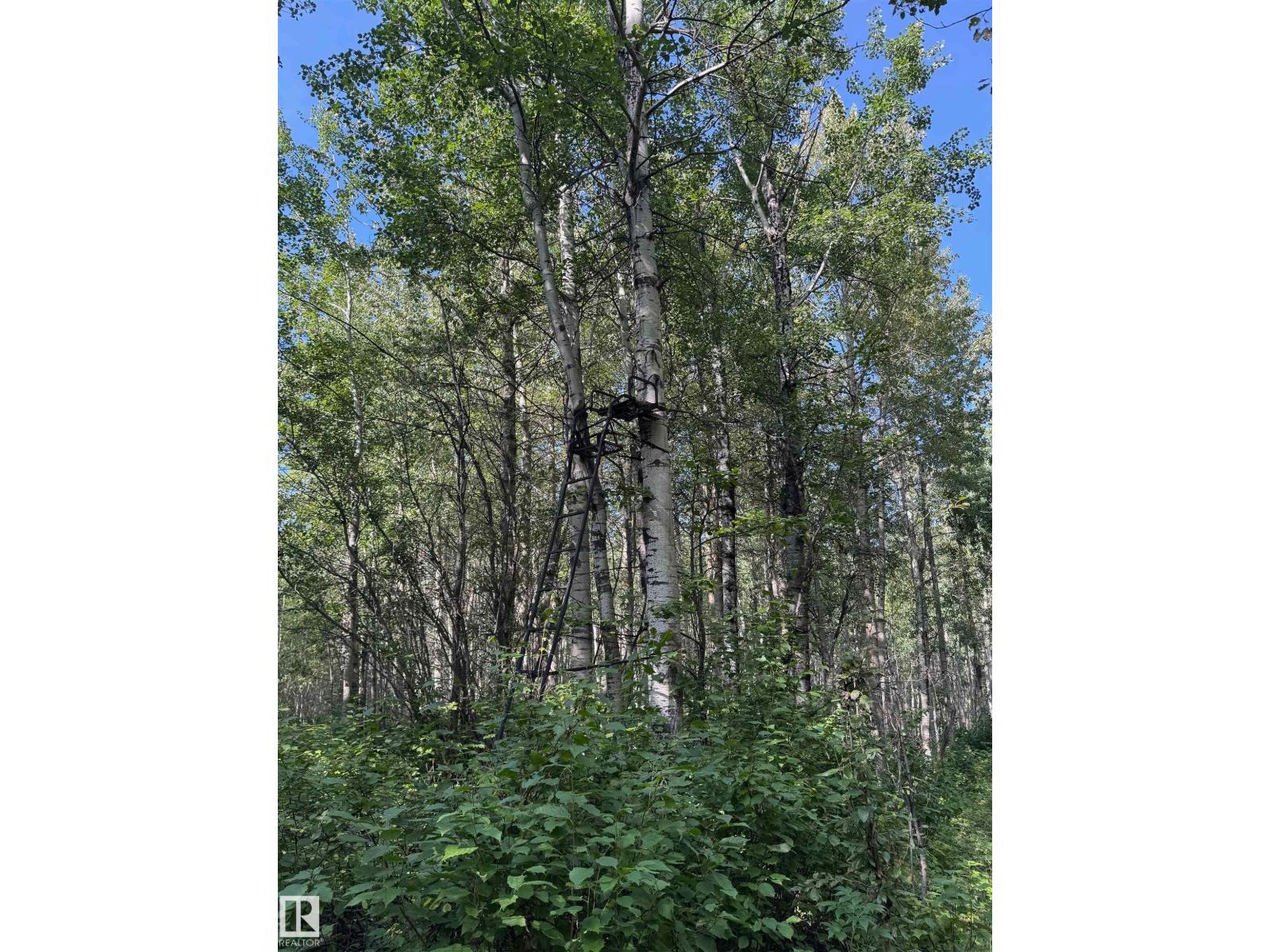 On Twp Rd 505, Rural Brazeau County, Alberta  T7A 1S4 - Photo 20 - E4459876