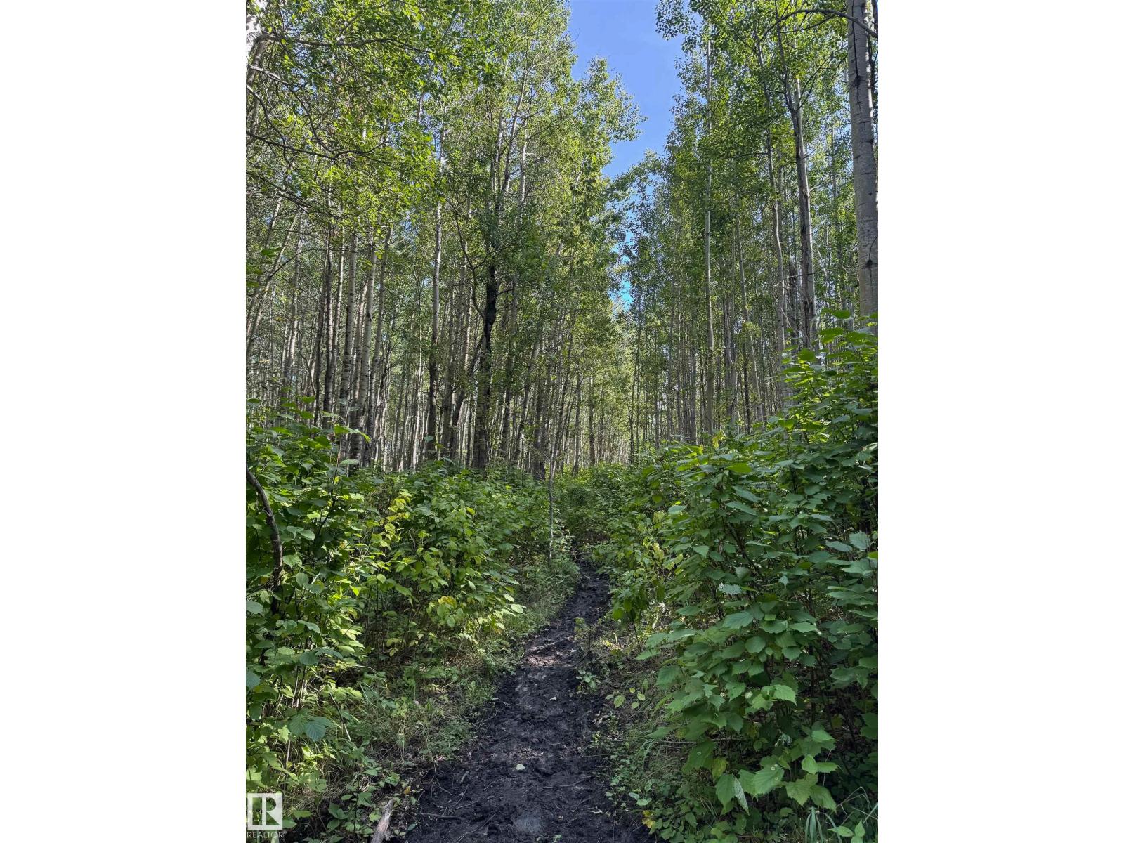 On Twp Rd 505, Rural Brazeau County, Alberta  T7A 1S4 - Photo 22 - E4459876
