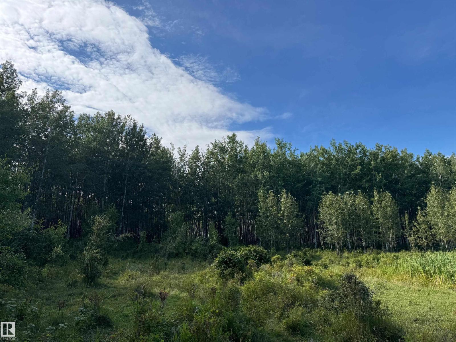 On Twp Rd 505, Rural Brazeau County, Alberta  T7A 1S4 - Photo 28 - E4459876