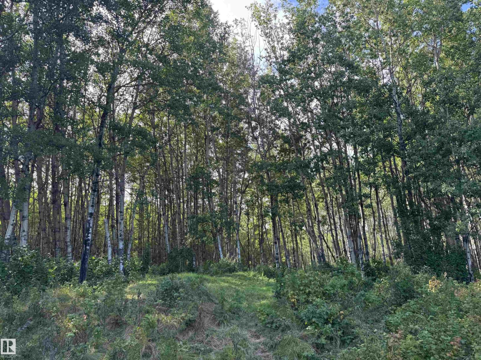 On Twp Rd 505, Rural Brazeau County, Alberta  T7A 1S4 - Photo 29 - E4459876