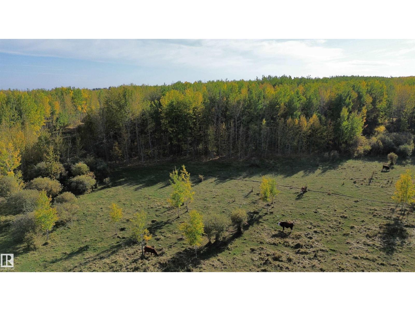 On Twp Rd 505, Rural Brazeau County, Alberta  T7A 1S4 - Photo 12 - E4459876