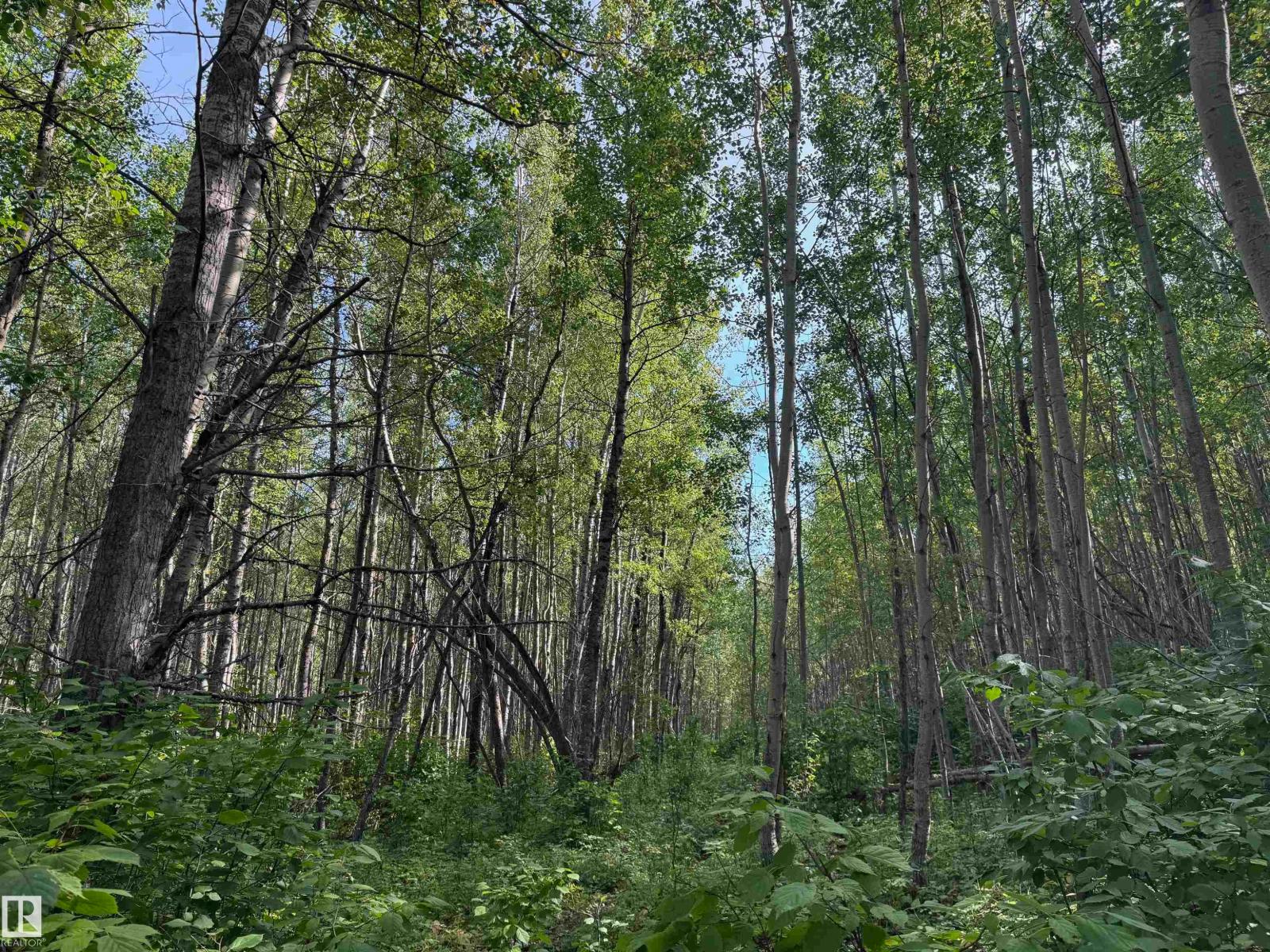 On Twp Rd 505, Rural Brazeau County, Alberta  T7A 1S4 - Photo 15 - E4459876