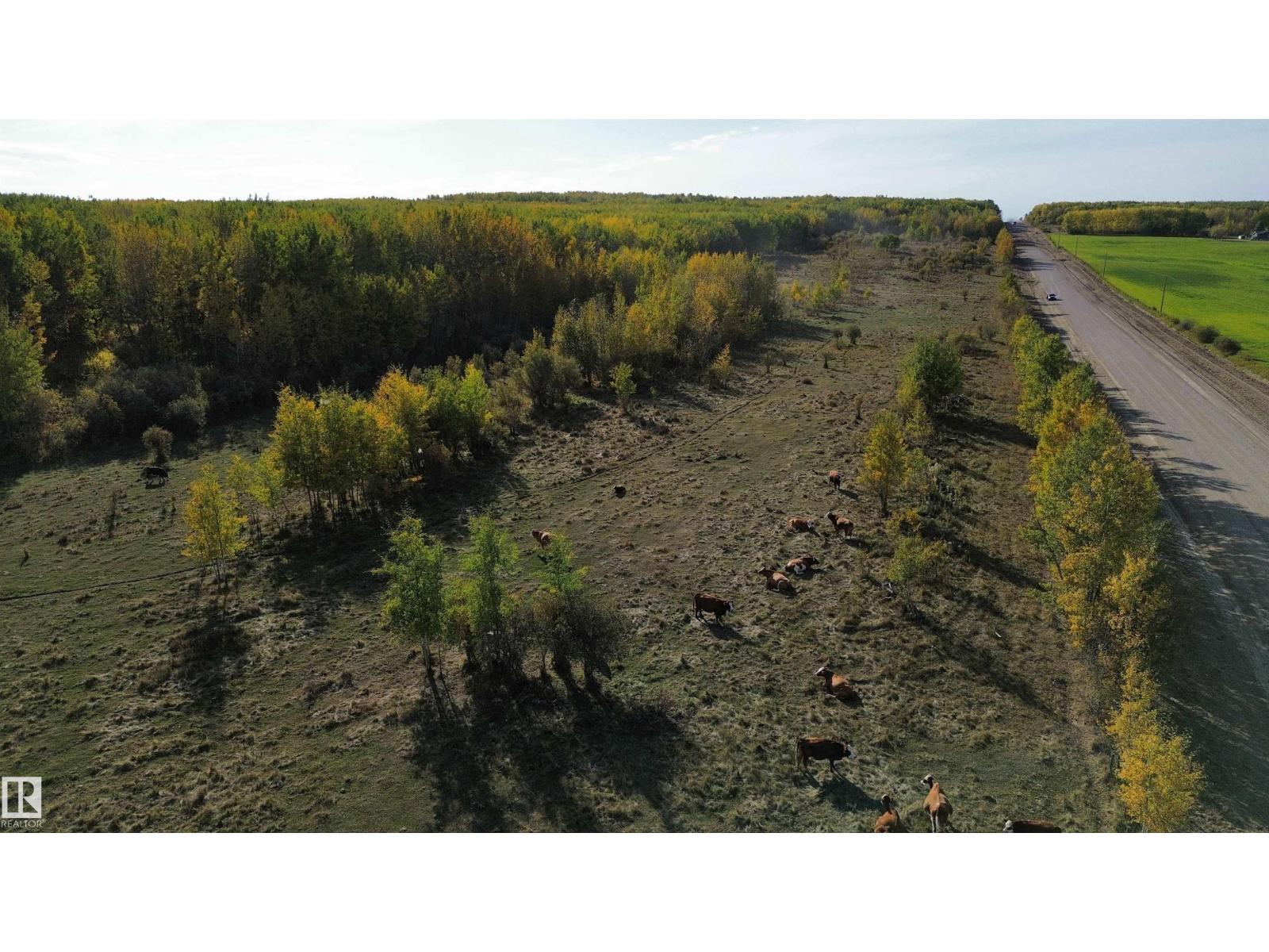 On Twp Rd 505, Rural Brazeau County, Alberta  T7A 1S4 - Photo 13 - E4459876