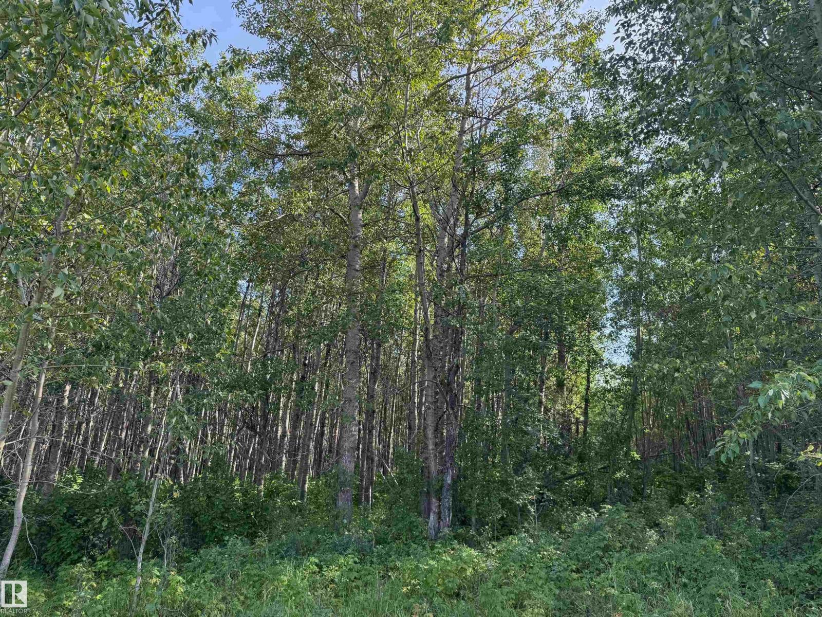 On Twp Rd 505, Rural Brazeau County, Alberta  T7A 1S4 - Photo 14 - E4459876