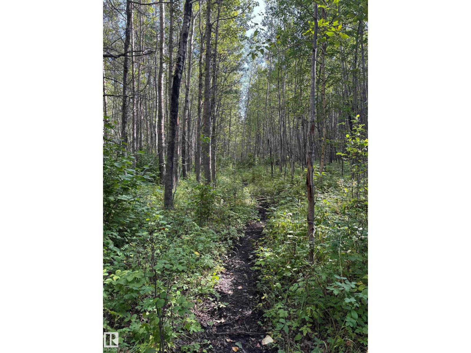 On Twp Rd 505, Rural Brazeau County, Alberta  T7A 1S4 - Photo 17 - E4459876