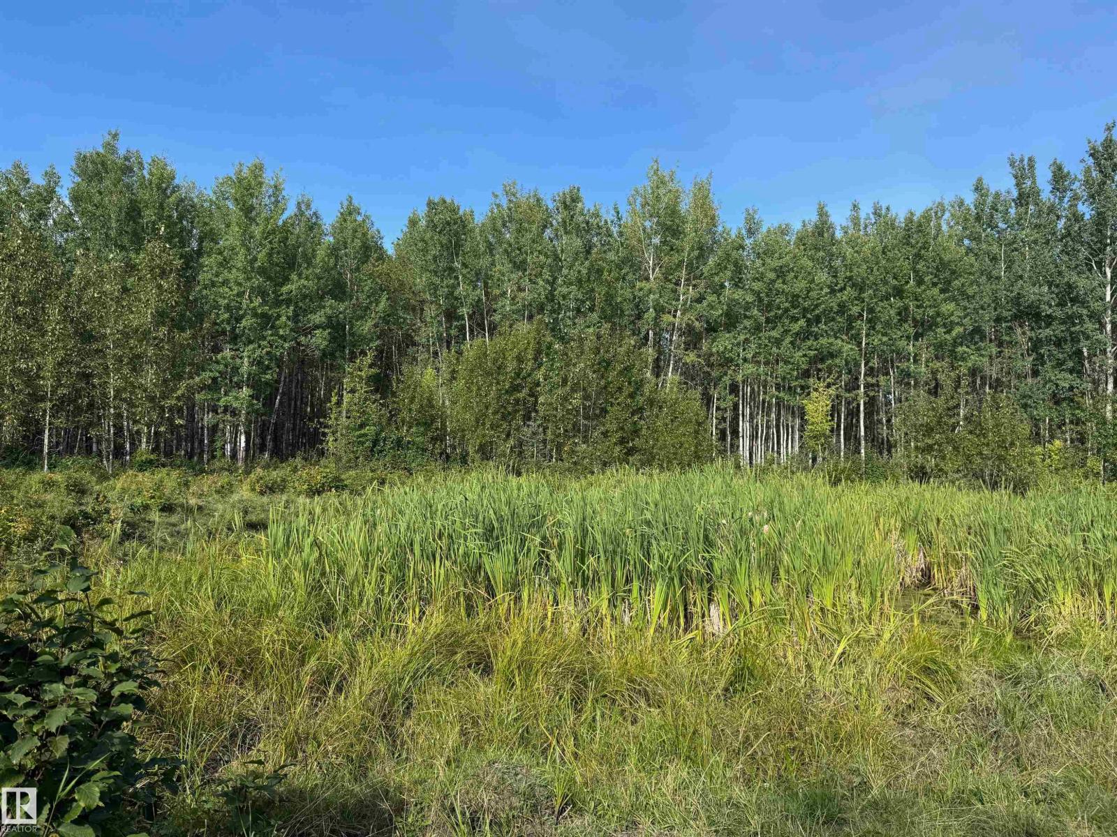 On Twp Rd 505, Rural Brazeau County, Alberta  T7A 1S4 - Photo 25 - E4459876