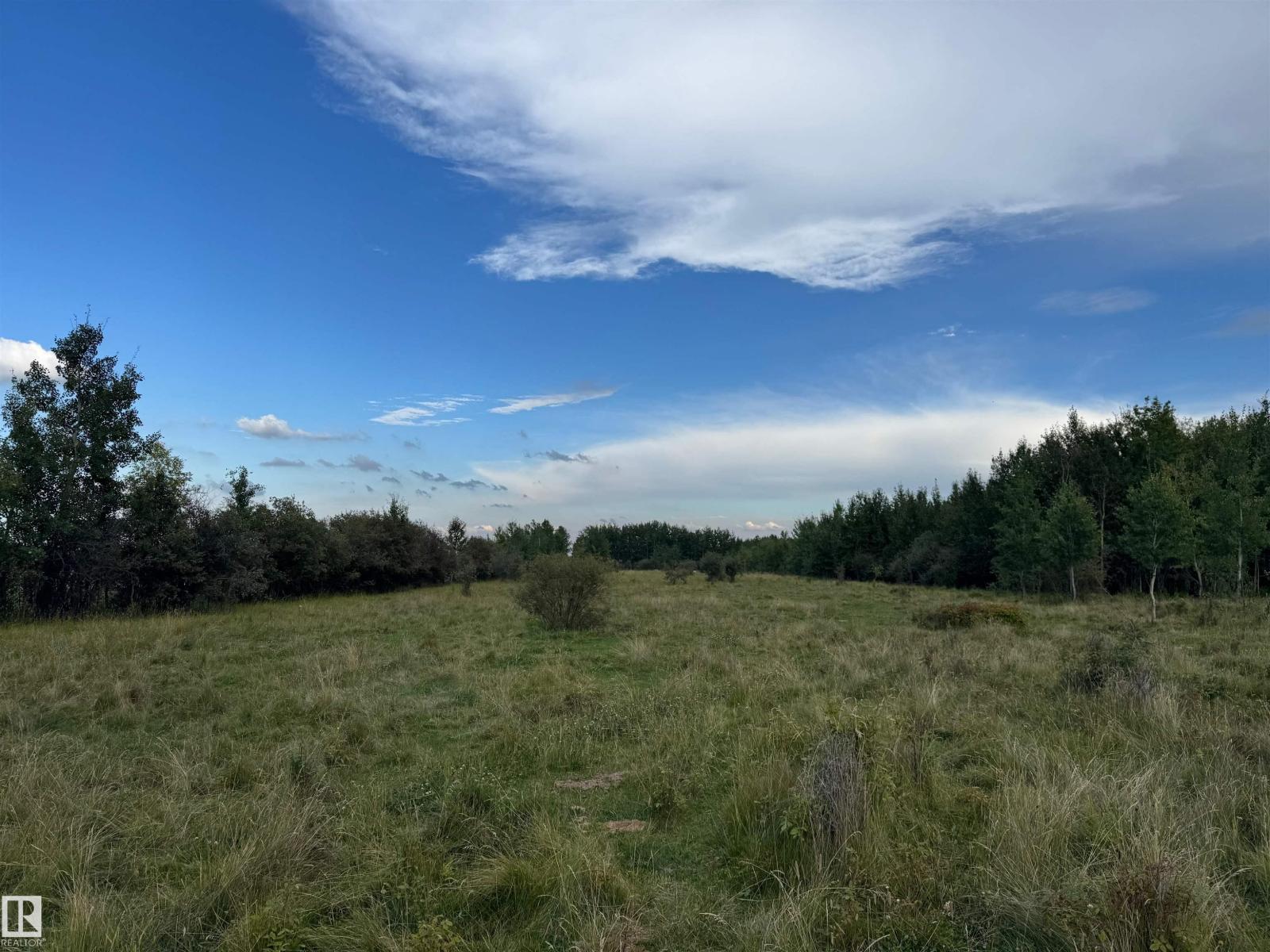 On Twp Rd 505, Rural Brazeau County, Alberta  T7A 1S4 - Photo 31 - E4459876
