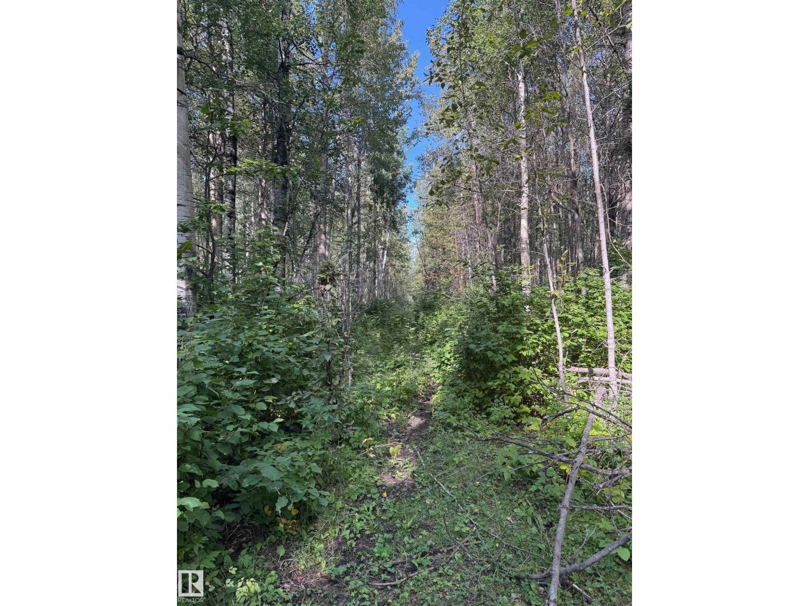 On Twp Rd 505, Rural Brazeau County, Alberta  T7A 1S4 - Photo 19 - E4459876