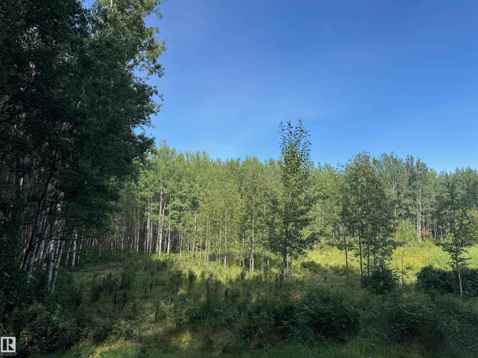 On Twp Rd 505, Rural Brazeau County, Alberta  T7A 1S4 - Photo 30 - E4459876