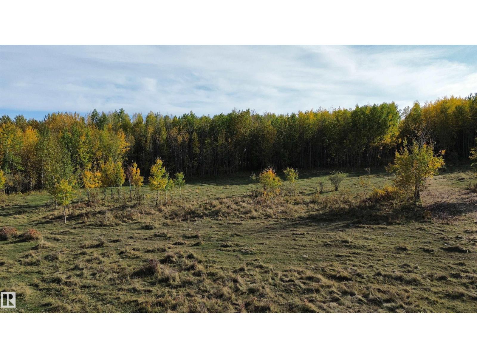 On Twp Rd 505, Rural Brazeau County, Alberta  T7A 1S4 - Photo 9 - E4459876