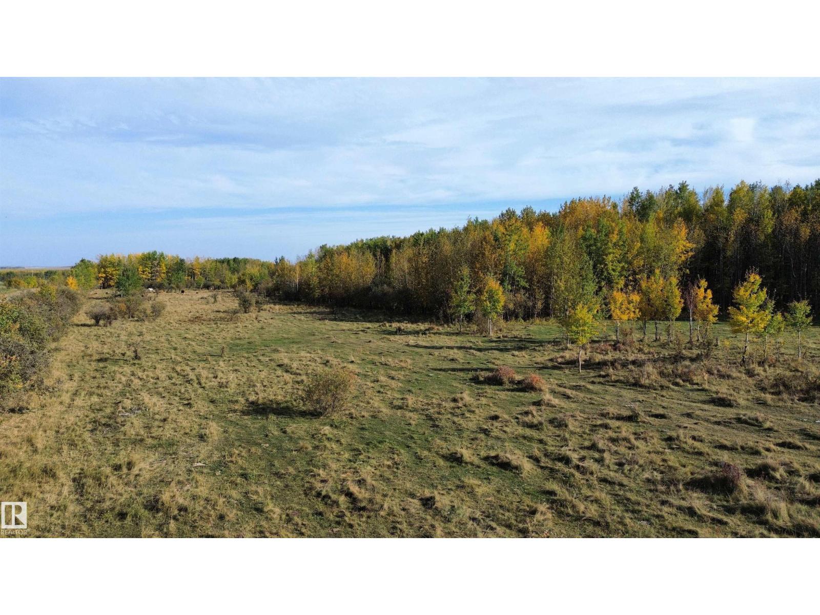 On Twp Rd 505, Rural Brazeau County, Alberta  T7A 1S4 - Photo 10 - E4459876
