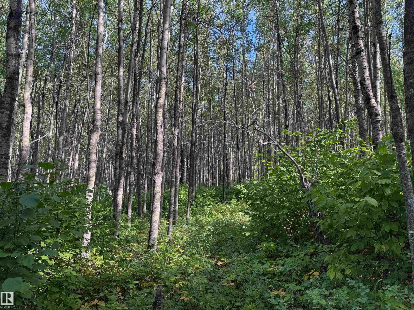 On Twp Rd 505, Rural Brazeau County, Alberta  T7A 1S4 - Photo 16 - E4459876